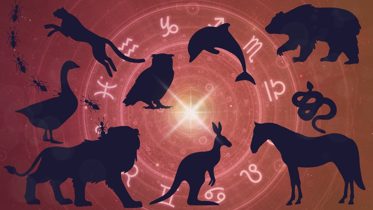 O Animal de Cada Signo do Zodíaco e Seu Significado