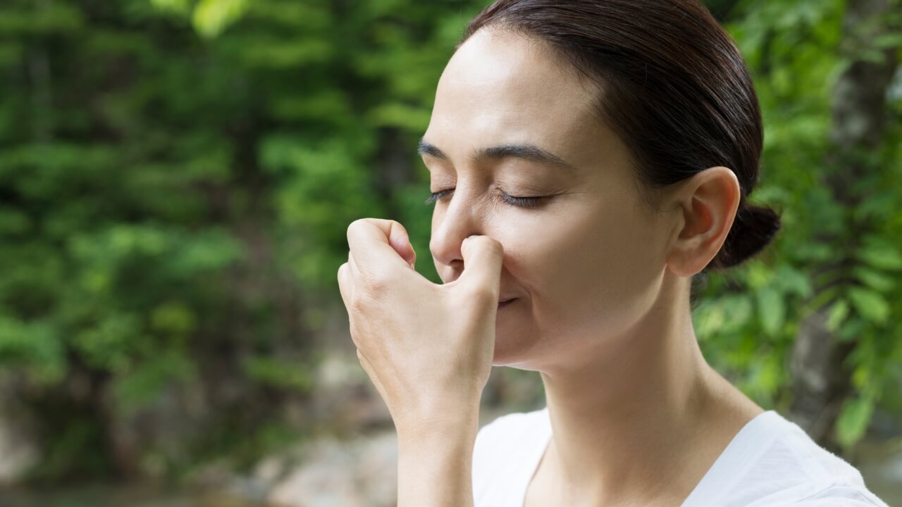 Pranayamas Respiração Consciente para Corpo e Mente