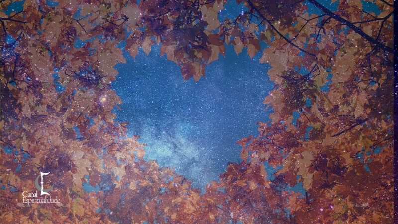 Parte 5 Como Superar o Medo do Amor Segundo a Astrologia