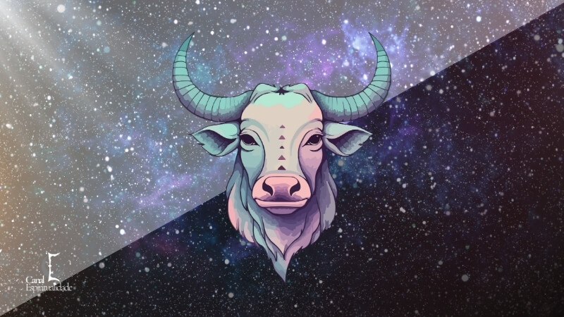 Touro além da teimosia o que realmente define o signo