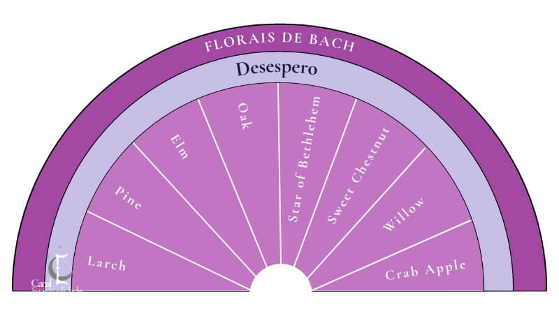 Desespero