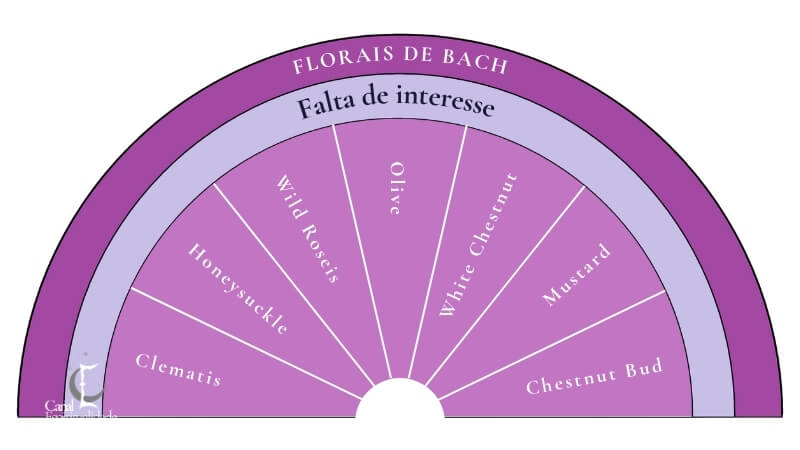 Falta de interesse
