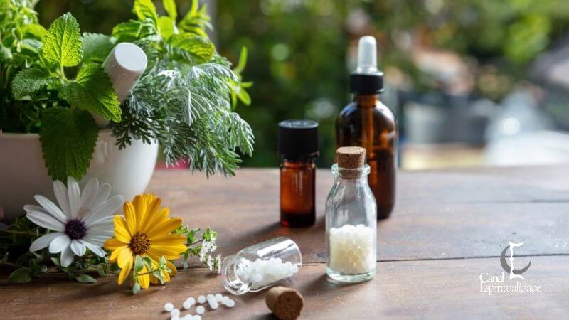 Homeopatia: O que é, Como Funciona e Quais Seus Benefícios