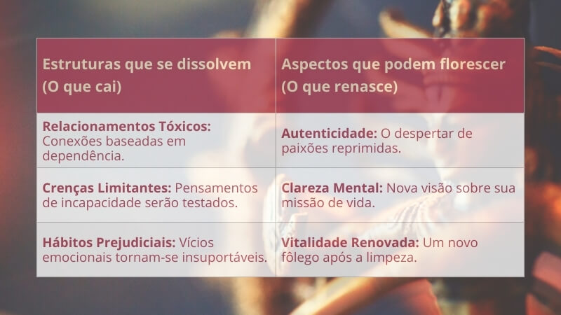 O que tende a CAIR e o que pode RENASCER nesse ciclo