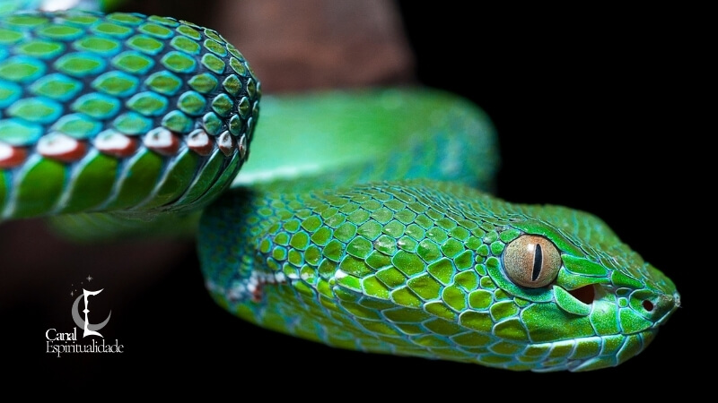 Visão Ameríndia Quetzalcóatl